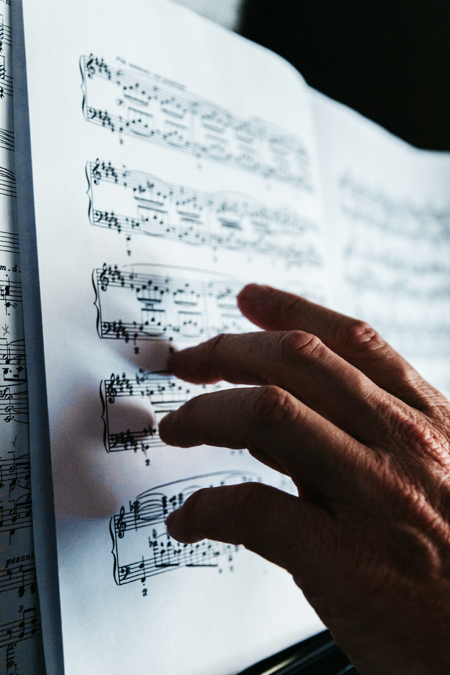 Latin Beats in the World of Matthew Phillips West